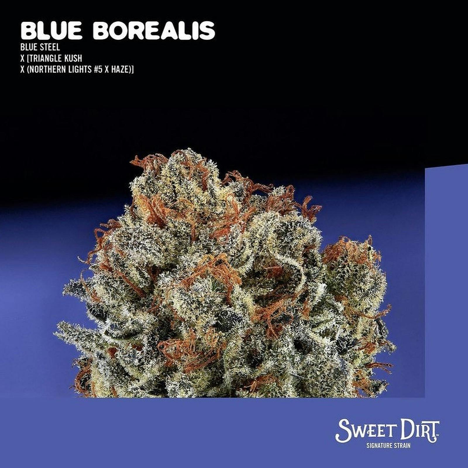 Blue Borealis